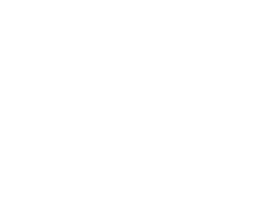 feuerquell icon hund